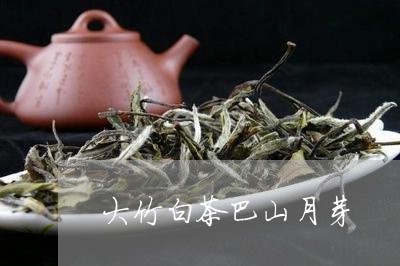 大竹白茶巴山月芽/2023061792507