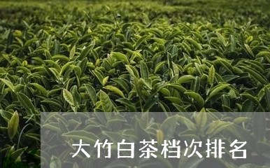 大竹白茶档次排名/2023061725937