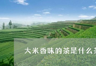 大米香味的茶是什么茶/2023071354838