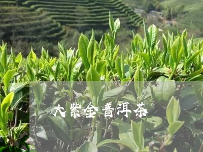 大紫金普洱茶/2023042687884