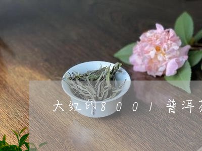 大红印8001普洱茶/2023062718562