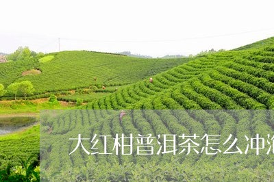 大红柑普洱茶怎么冲泡/2023080384158