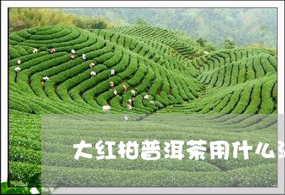 大红柑普洱茶用什么泡/2023062307169