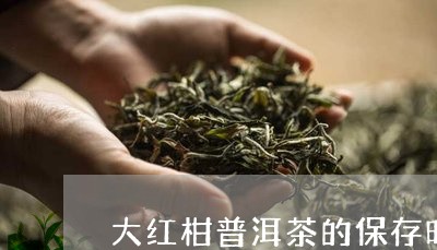大红柑普洱茶的保存时间/2023122061715