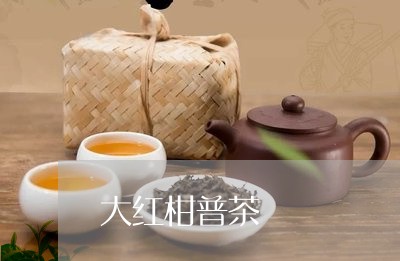 大红柑普茶/2023041728867