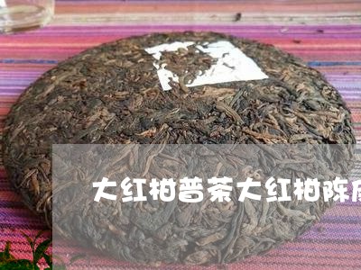 大红柑普茶大红柑陈皮普洱茶/2023052778560