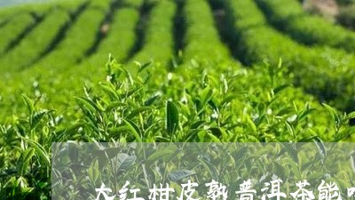 大红柑皮熟普洱茶能喝吗/2023103159494