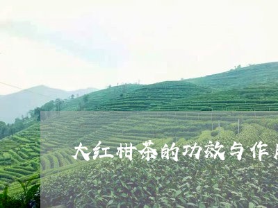 大红柑茶的功效与作用/2023071582925