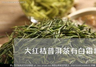 大红桔普洱茶有白霜吗还是红霜/2023121527360