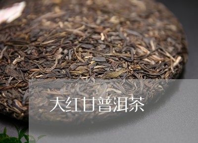 大红甘普洱茶/2023042879532