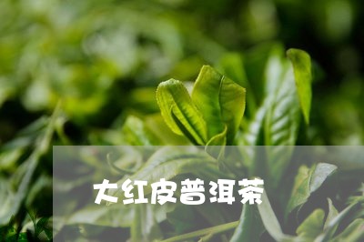 大红皮普洱茶/2023042980319