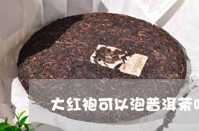 大红袍可以泡普洱茶吗/2023072259592