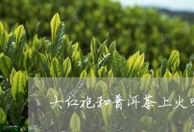 大红袍和普洱茶上火吗/2023062946282