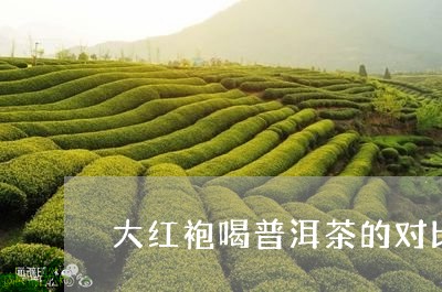 大红袍喝普洱茶的对比/2023093059573