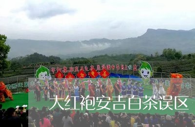 大红袍安吉白茶误区/2023121866037