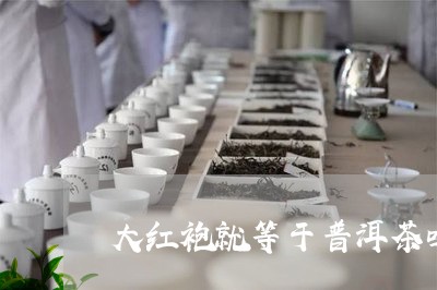 大红袍就等于普洱茶吗/2023092804046