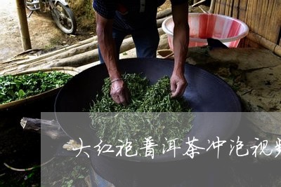 大红袍普洱茶冲泡视频/2023061848495