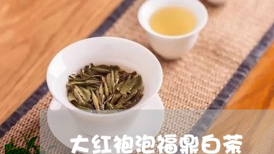 大红袍泡福鼎白茶/2023061795149