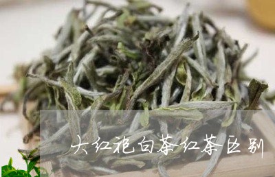 大红袍白茶红茶区别/2023071680602