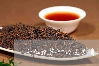 大红袍茶叶好还是普洱茶好喝/2023102540314