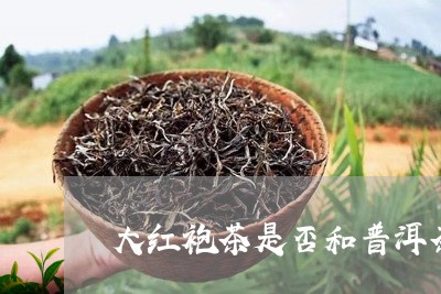 大红袍茶是否和普洱茶一样/2023110296238