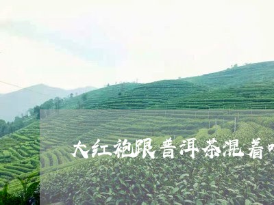 大红袍跟普洱茶混着喝/2023061736070