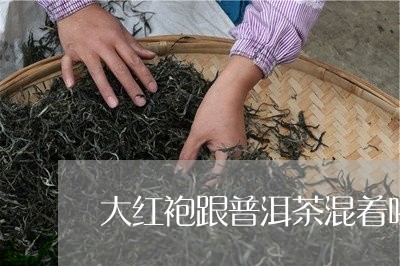 大红袍跟普洱茶混着喝/2023092860513