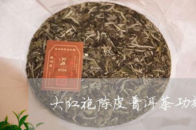 大红袍陈皮普洱茶功效/2023061873036