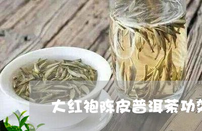 大红袍陈皮普洱茶功效/2023072475028