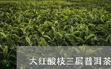 大红酸枝三层普洱茶盒/2023061552725