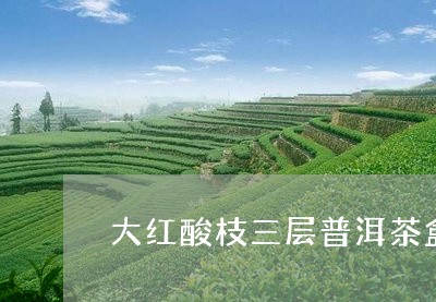 大红酸枝三层普洱茶盒/2023072127151