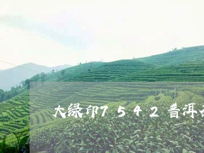 大绿印7542普洱茶/2023080105268