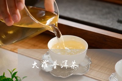 大罗普洱茶/2023102592604