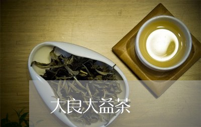 大良大益茶/2023090245040