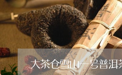 大茶仓雪山一号普洱茶/2023093068384