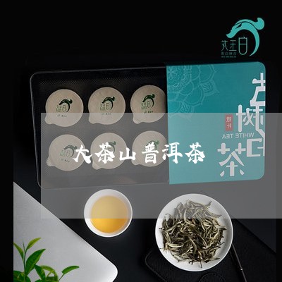 大茶山普洱茶/2023042703379