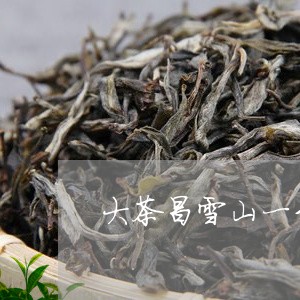 大茶昌雪山一号普洱茶/2023093037371