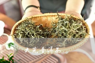 大荒普洱茶/2023090681814