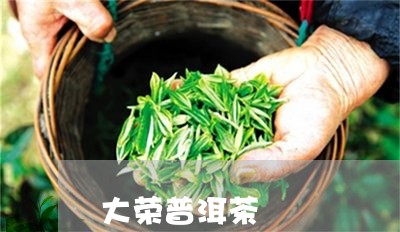 大荣普洱茶/2023102561726