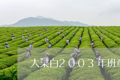 大菜白2003年班章熟普洱/2023052724936