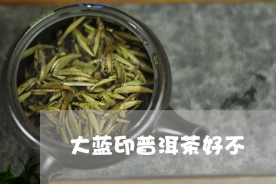 大蓝印普洱茶好不/2023082692837