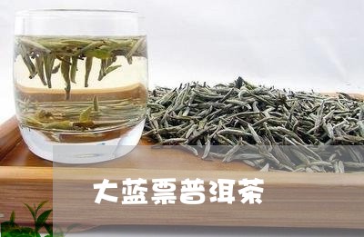 大蓝票普洱茶/2023042734030