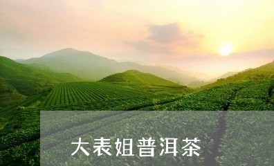 大表姐普洱茶/2023042818062