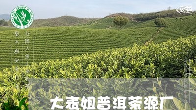 大表姐普洱茶源厂/2023120460714