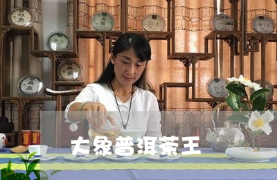 大象普洱茶王/2023042703075