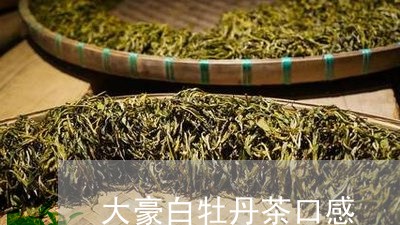 大豪白牡丹茶口感/2023061793169