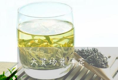 大贤场普洱茶/2023042765209