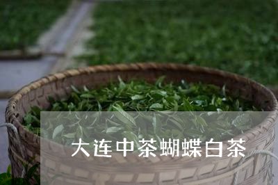 大连中茶蝴蝶白茶/2023061725848