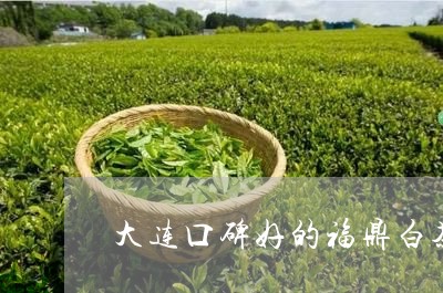 大连口碑好的福鼎白茶/2023120863060