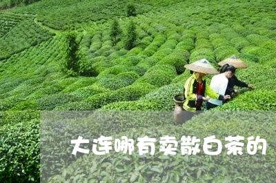 大连哪有卖散白茶的/2023081438495